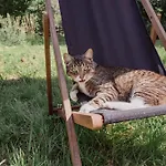 Urlaub Im Alten Kutscherhaus Wulkow (Lebus)