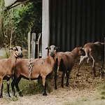 Urlaub Im Alten Kutscherhaus *