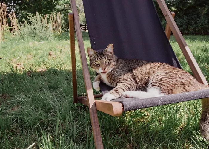 Urlaub Im Alten Kutscherhaus Wulkow (Lebus)